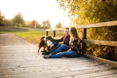 Mini American Shepherd Zucht Baden Württemberg